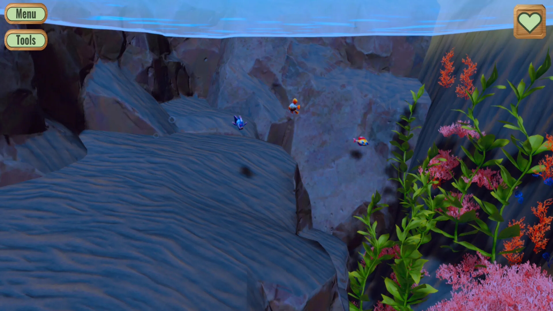 Pond screenshot 6